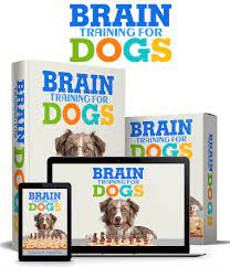 braindog